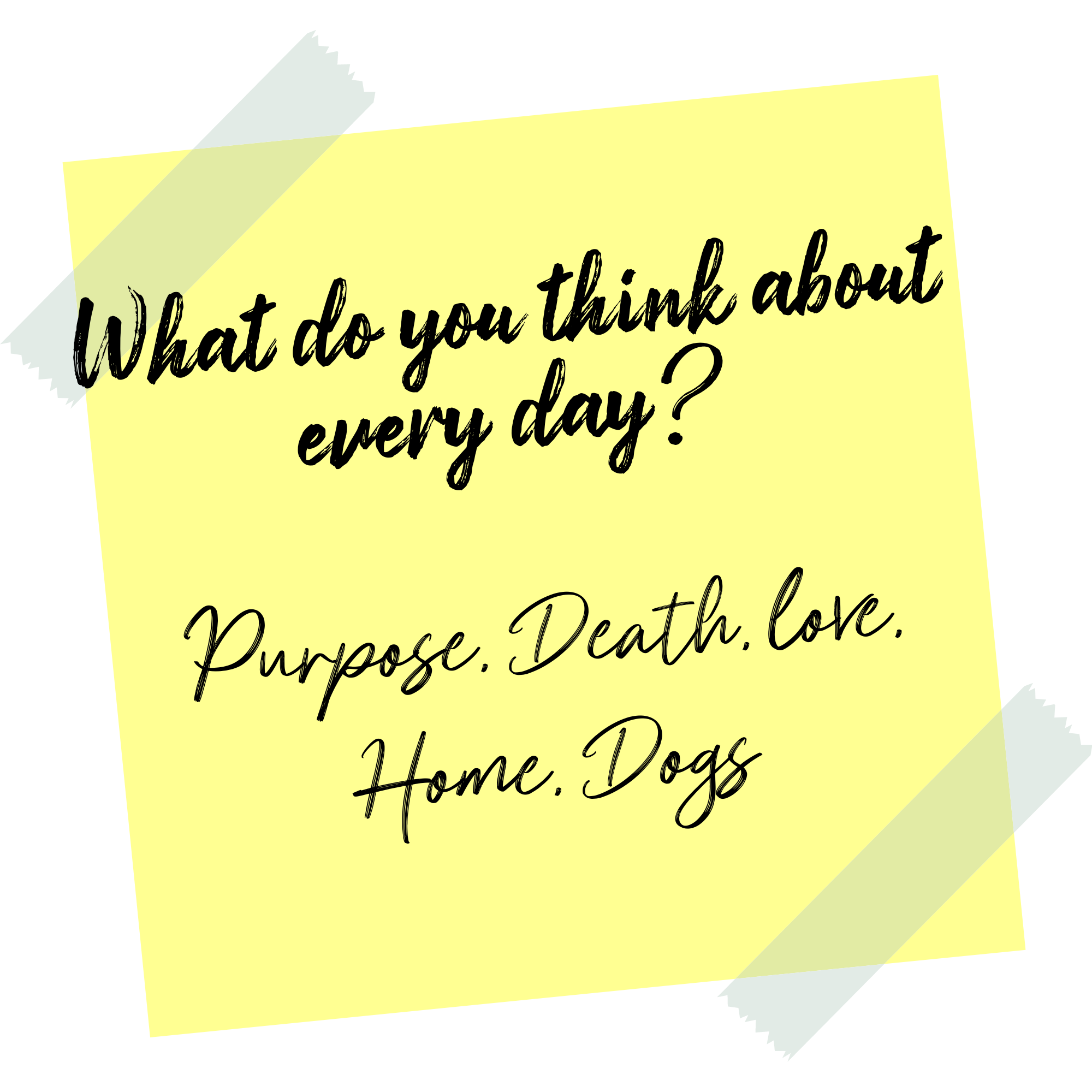 What do you think about every day? Purpose, death, love, home, dogs