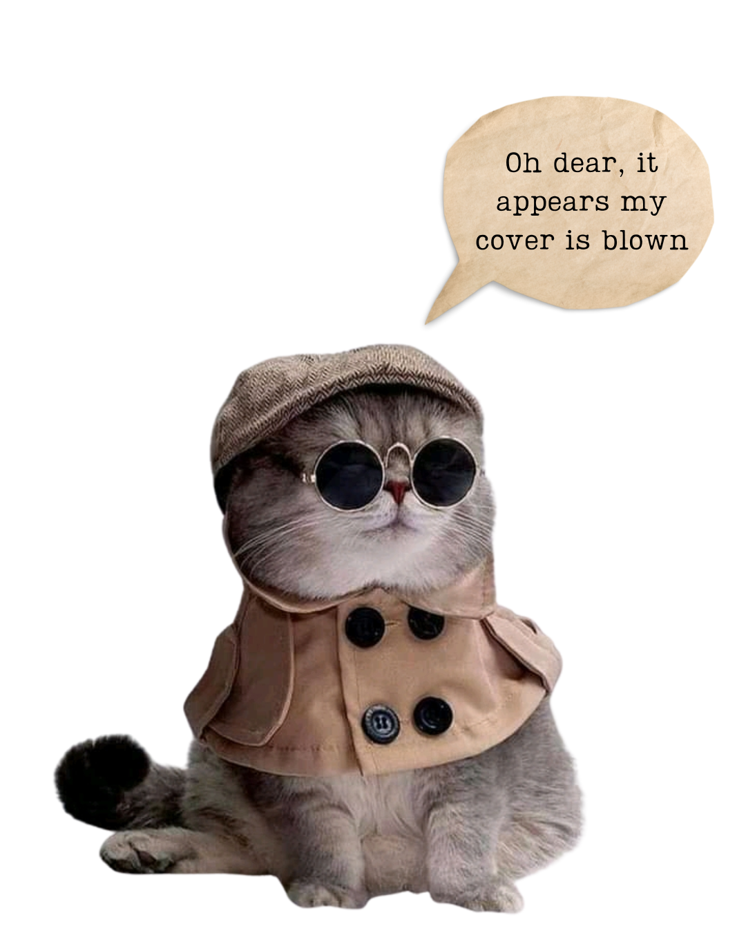 A cat dressed as Sherlock Holmes saying "Oh dear, it appears my cover is blown", for no reason other than I think it's funny